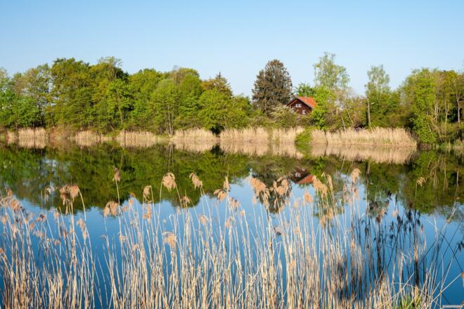 Widdersberger Weiher