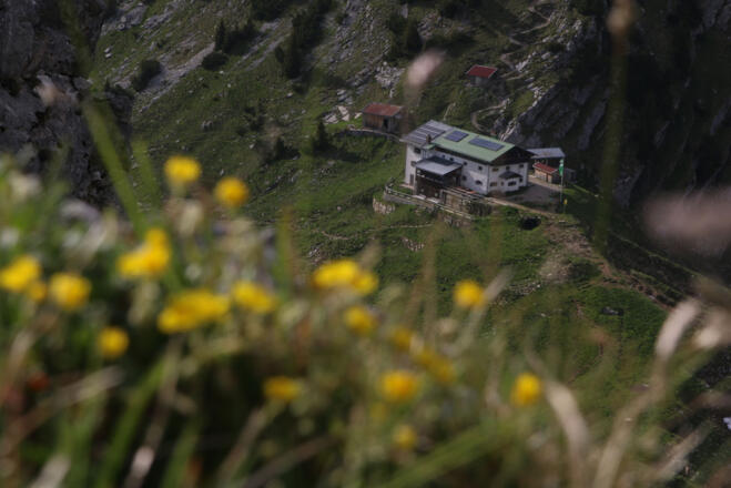 Blick zur Hütte