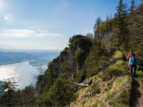 Weg zum Gipfel der Sonnenspitz (im Hintergrund links das kleine Gipfelplatteau)
