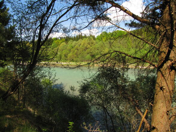 Geretsried- Zur Isarbrücke und in die Wildnis