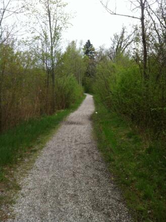 Ein idyllischer Wanderweg führt uns von Bernried nach Seeshaupt.