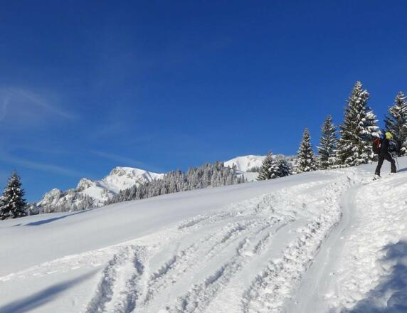 Skitour auf das Brauneck