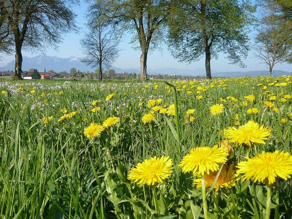 zurück in Benediktbeuern