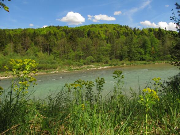 Geretsried- Zur Isarbrücke und in die Wildnis
