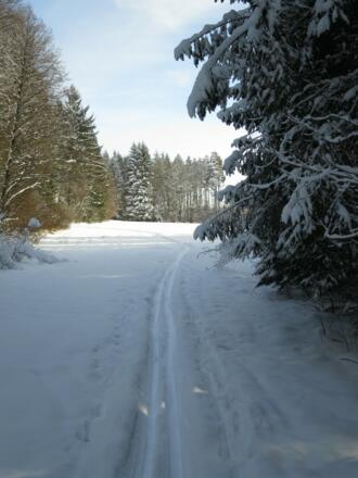 weiter in Richtung Bibisee