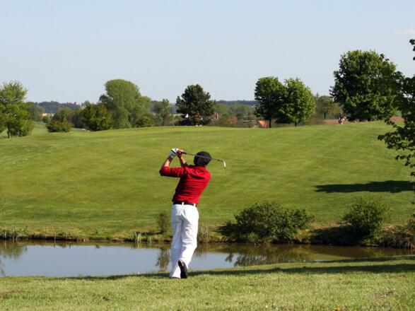 Die Landschaft bietet Liebhabern Wasser, Wäldern und Wiesen