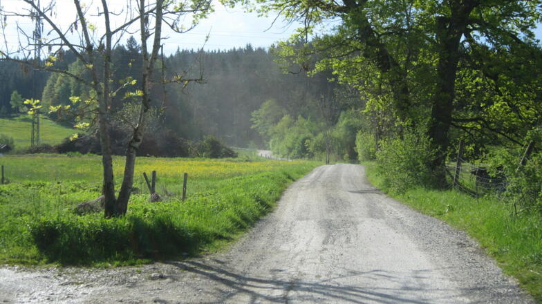 Beginn der Forststraße
