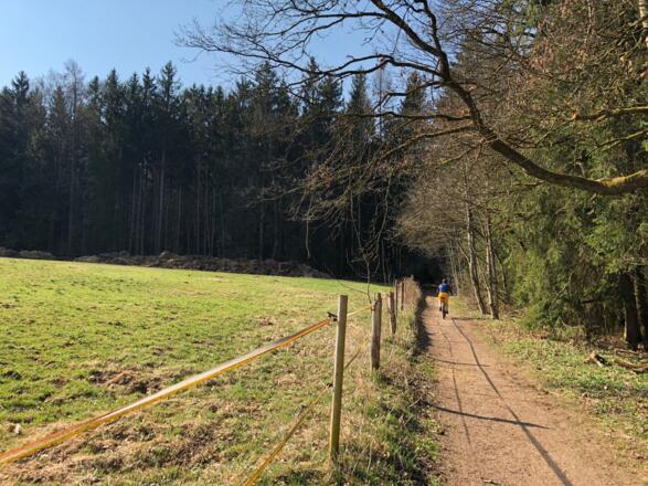 Am Wald entlang Richtung Baumgarten