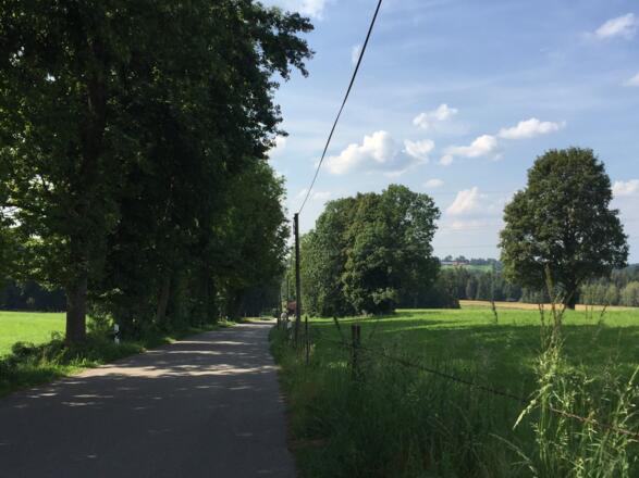 Abfahrt von Nodern zum Anstieg Rothenrain