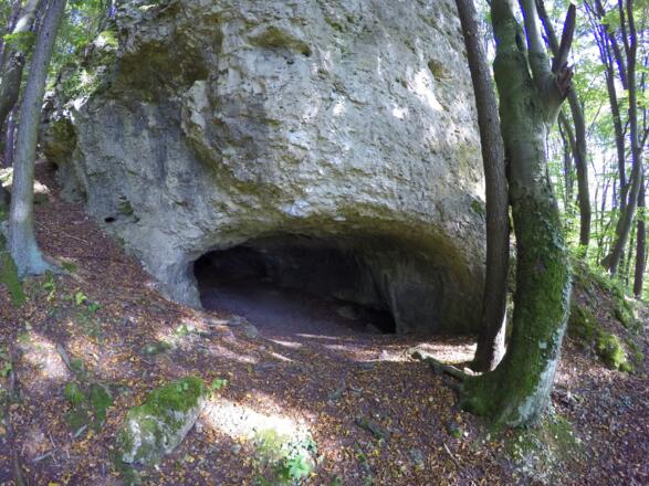 Die Frauenfelshöhle bei Neukirchen im Amberg-Sulzbacher Land