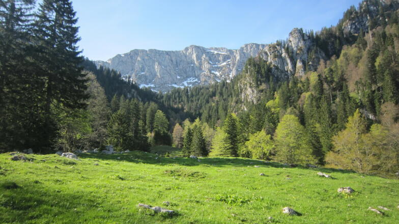 Oberer Eibelsfleck mit Benewand