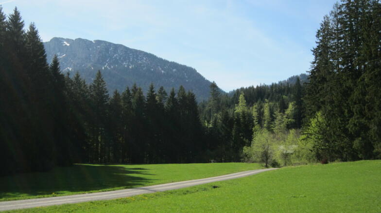 An der Kohlstatt - Alm