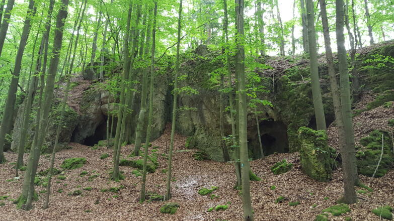 Dürrnberghöhlen (Nrn. 15 und 16)