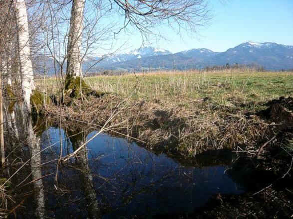 Loisach-Kochelsee-Moor