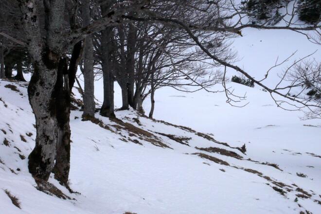 Winterlicher Aufstieg