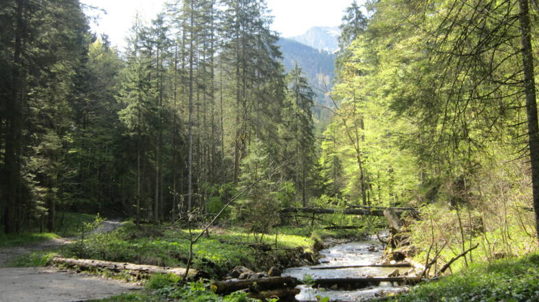 Am Tiefpunkt der Klausen die Wand in sicht