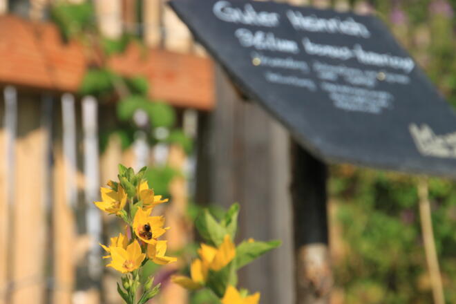 Tourist-Information Waldsassen