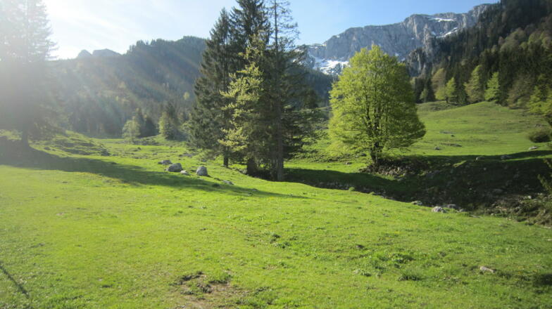 Über die Eibelsfleck - Alm