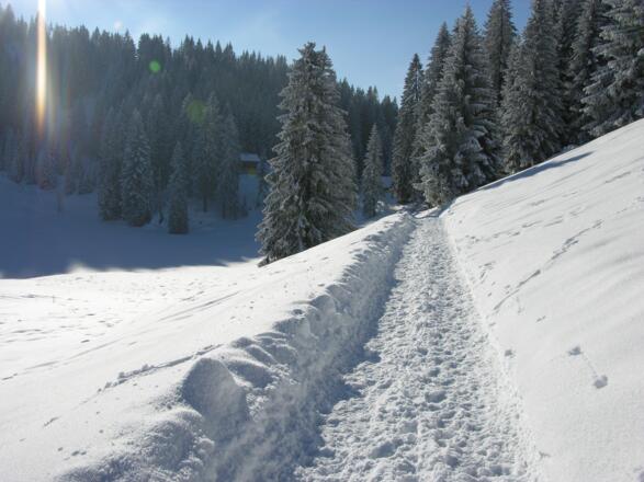 Winterweg zur Lenggrieser Hütte