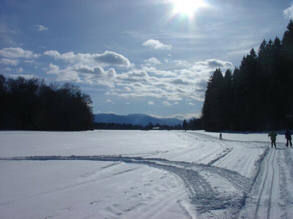 sonnige Loipe Königsdorf - Wiesen