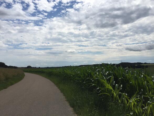 Blick übers Glonntal