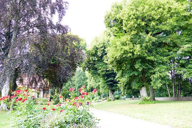 Der Burggarten an der Alten Burg.