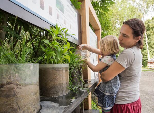 Kräutergarten Umweltstation mooseum