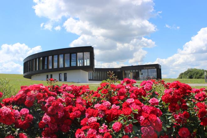 LIMESEUM