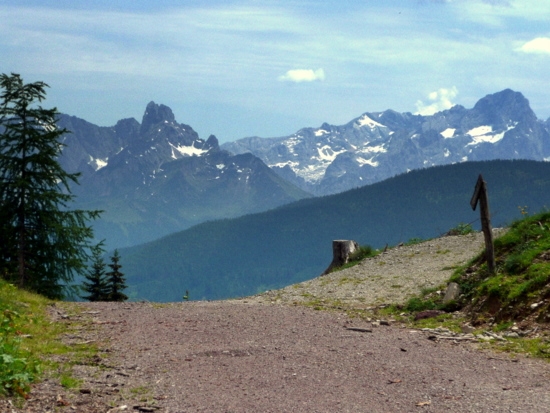 Auffahrt zur Schwarzeneggalm, im Hintergrund die Bischofsmütze