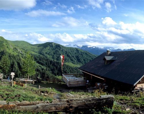 Draugsteinalm -Steinmannhütte, 1.778 m