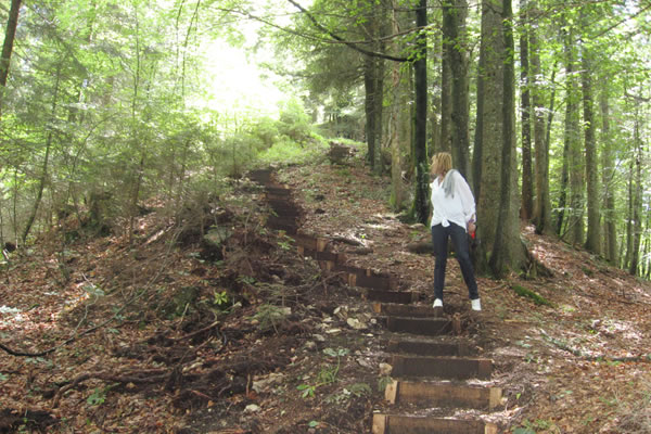 Treppensteig auf den Kopfberg in Annaberg