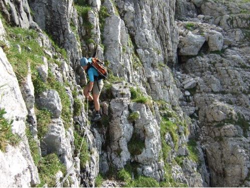 Auch toll ausgesetzt