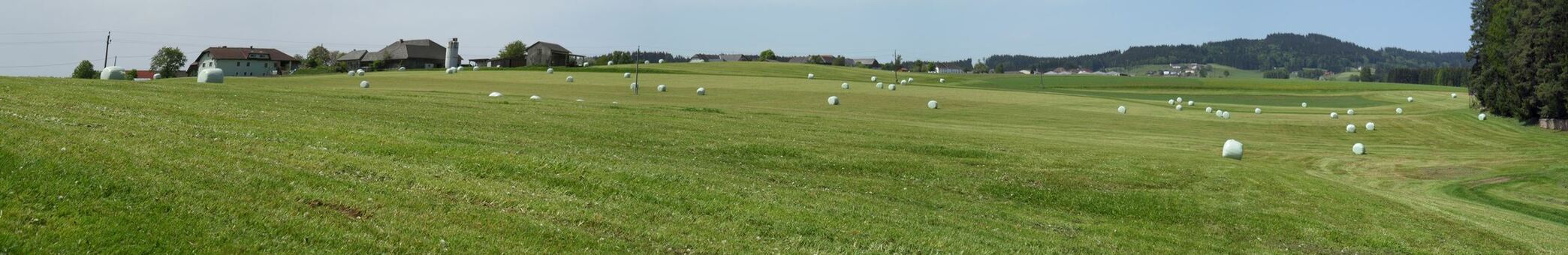 Die hügelige Landschaft des oberösterreichischen Mühlviertels