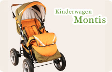 Kinderwagen Verleih