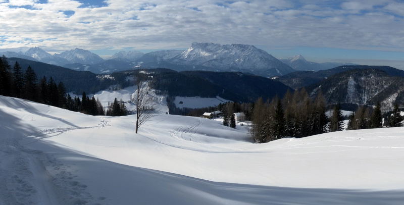 flache Almwiesen, Untersberg