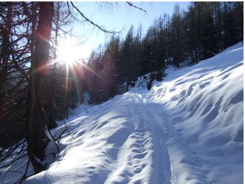 Aufstieg auf Almweg zur Lärchbachalm