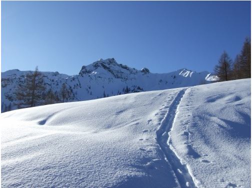 Bereits im nach der Lärchbachalm