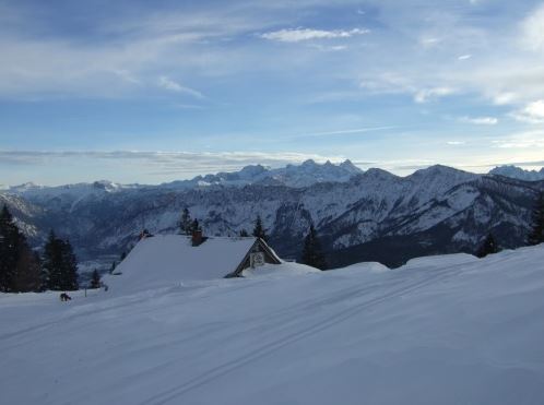 Am Weg von der Katrinalm zum Elferkogel