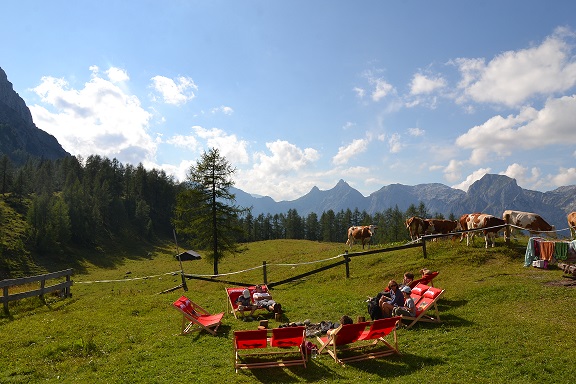 Wiese hinter der Hütte