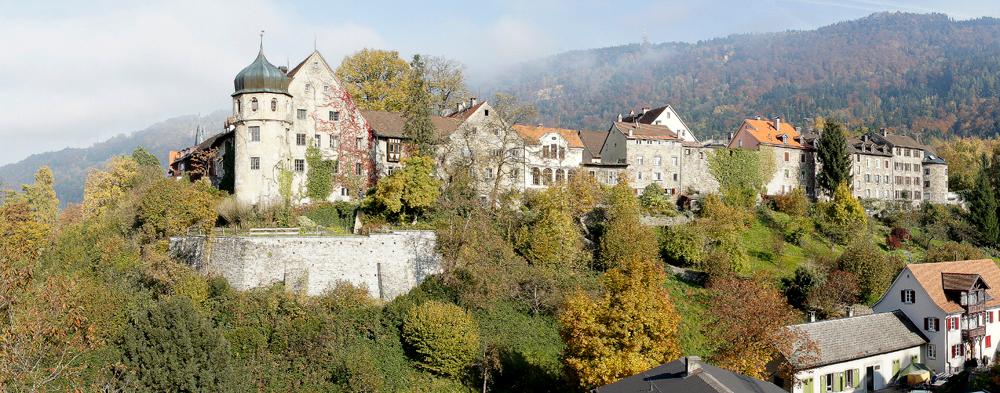 Die Oberstadt von Bregenz vom Kapuzinerkloster aus gesehen