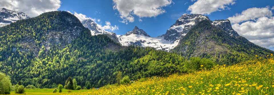 Blick auf die Loferer Steinberge