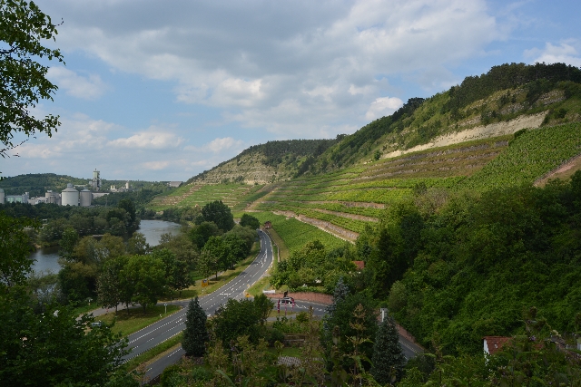 Blick auf die Weinberge bei Homburg