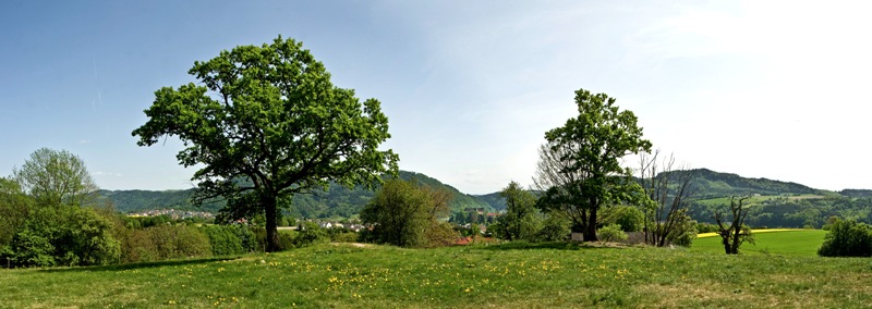 Panoramablick Rastplatz Mühlberg