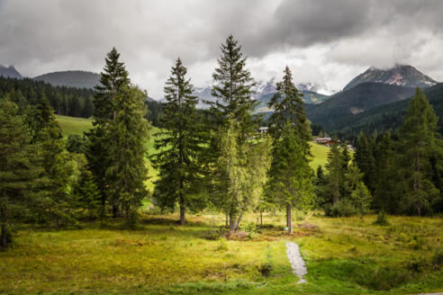 Kleiner Baumkreis beim Neubergerhof