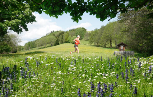 Laufen in der Natur