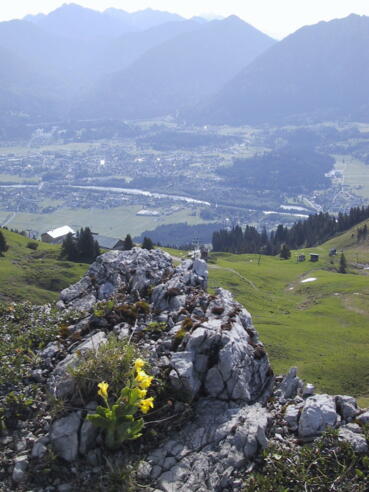 Blick vom Hahnenkamm