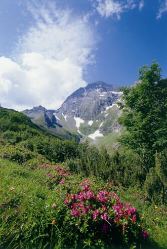 Blick Richtung Habicht