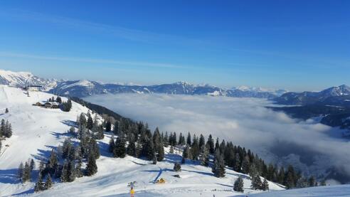 Gosau