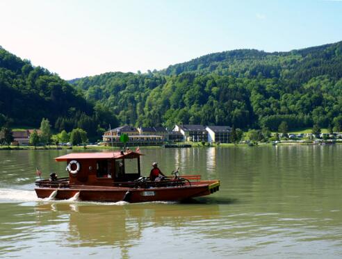 Fähre Schlögener Schlinge ~282m