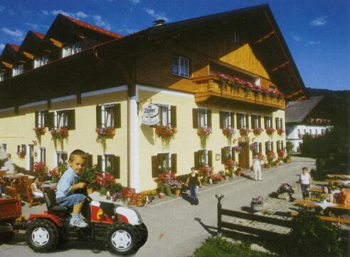 Fideler Bauer.jpg
